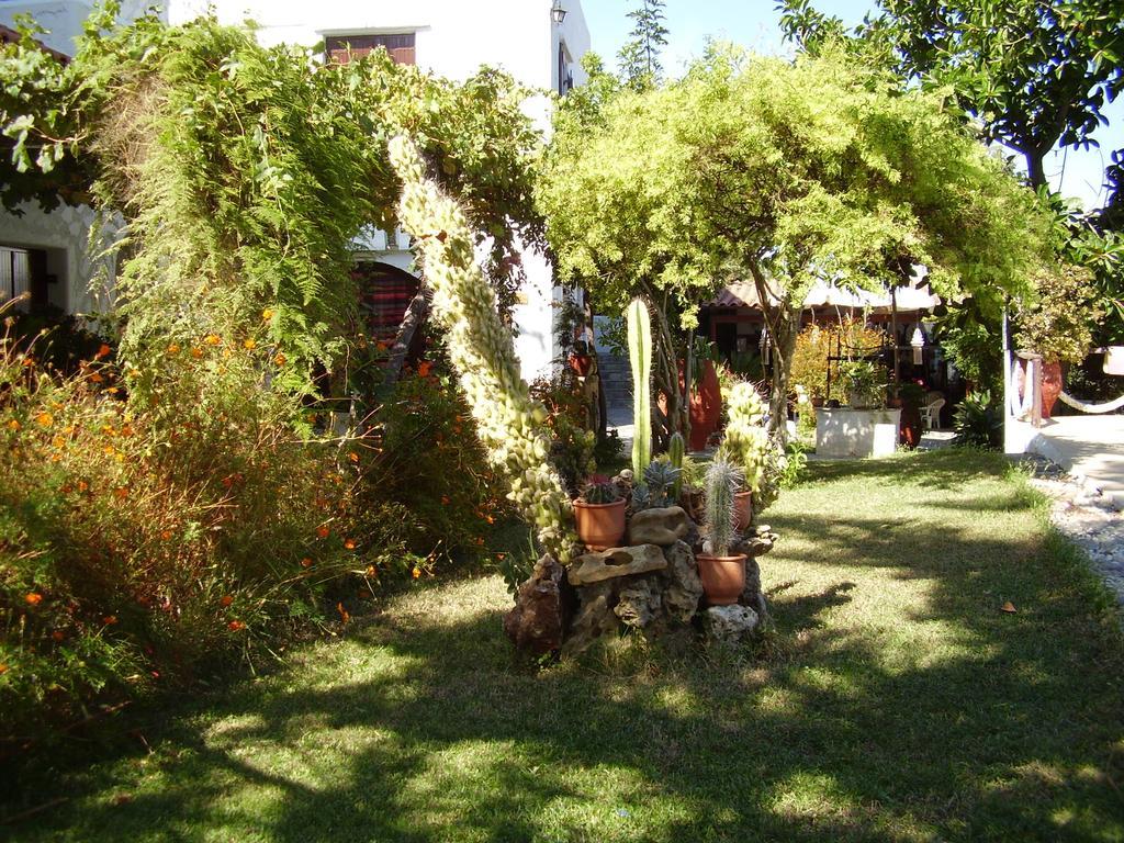 Summer Lodge Maleme Extérieur photo