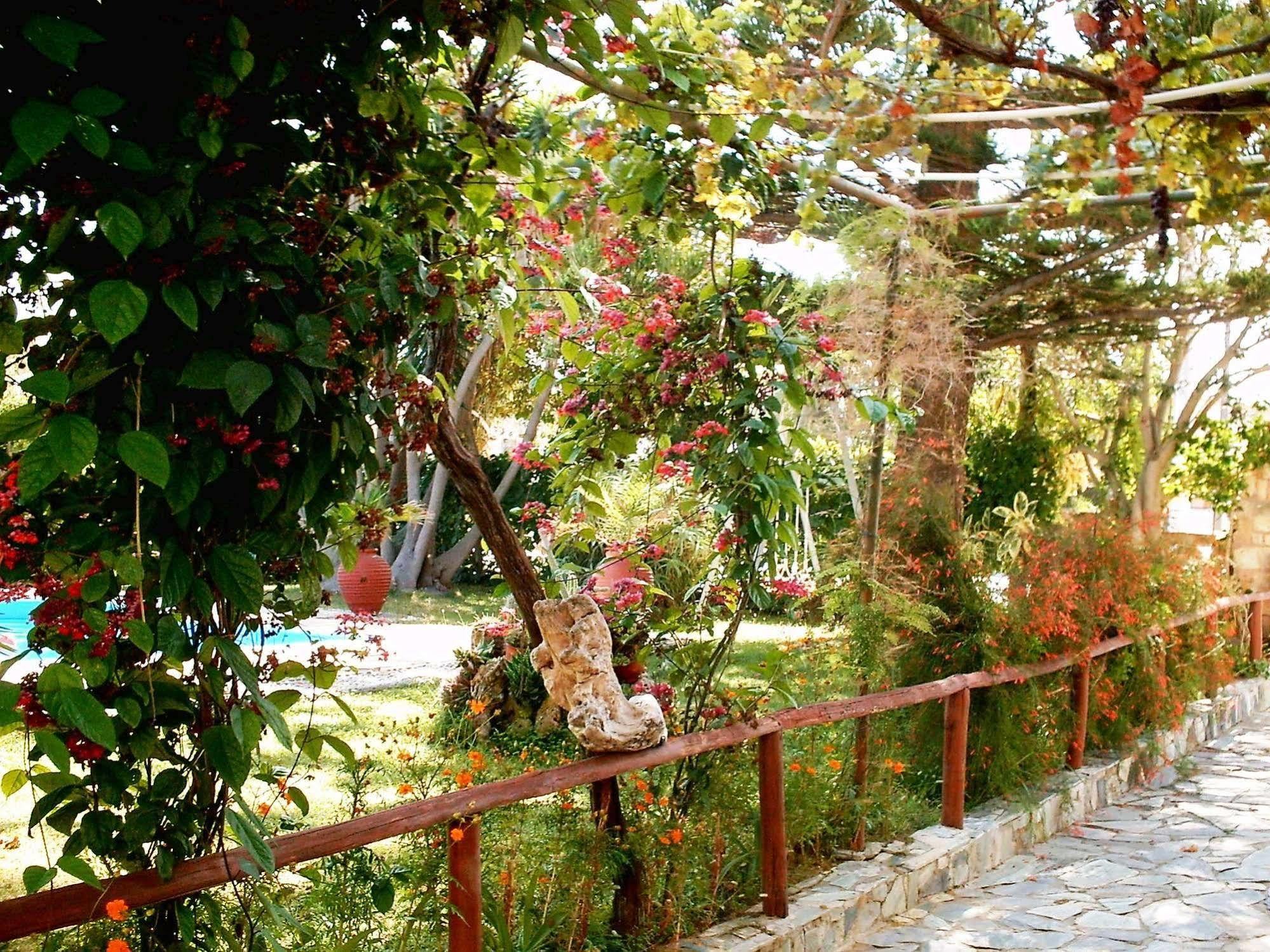 Summer Lodge Maleme Extérieur photo